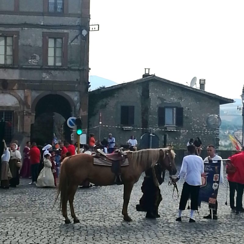 mulo piazza ARTENA